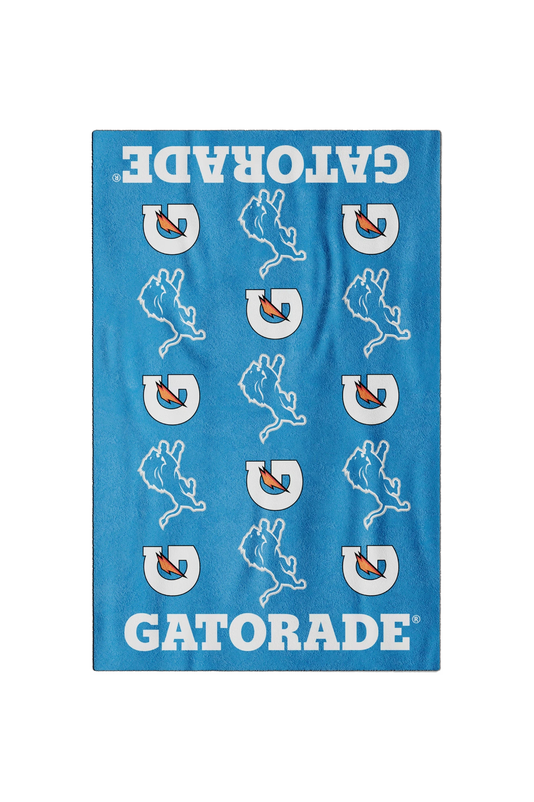 Detroit Lions NFL Pro Team Towel